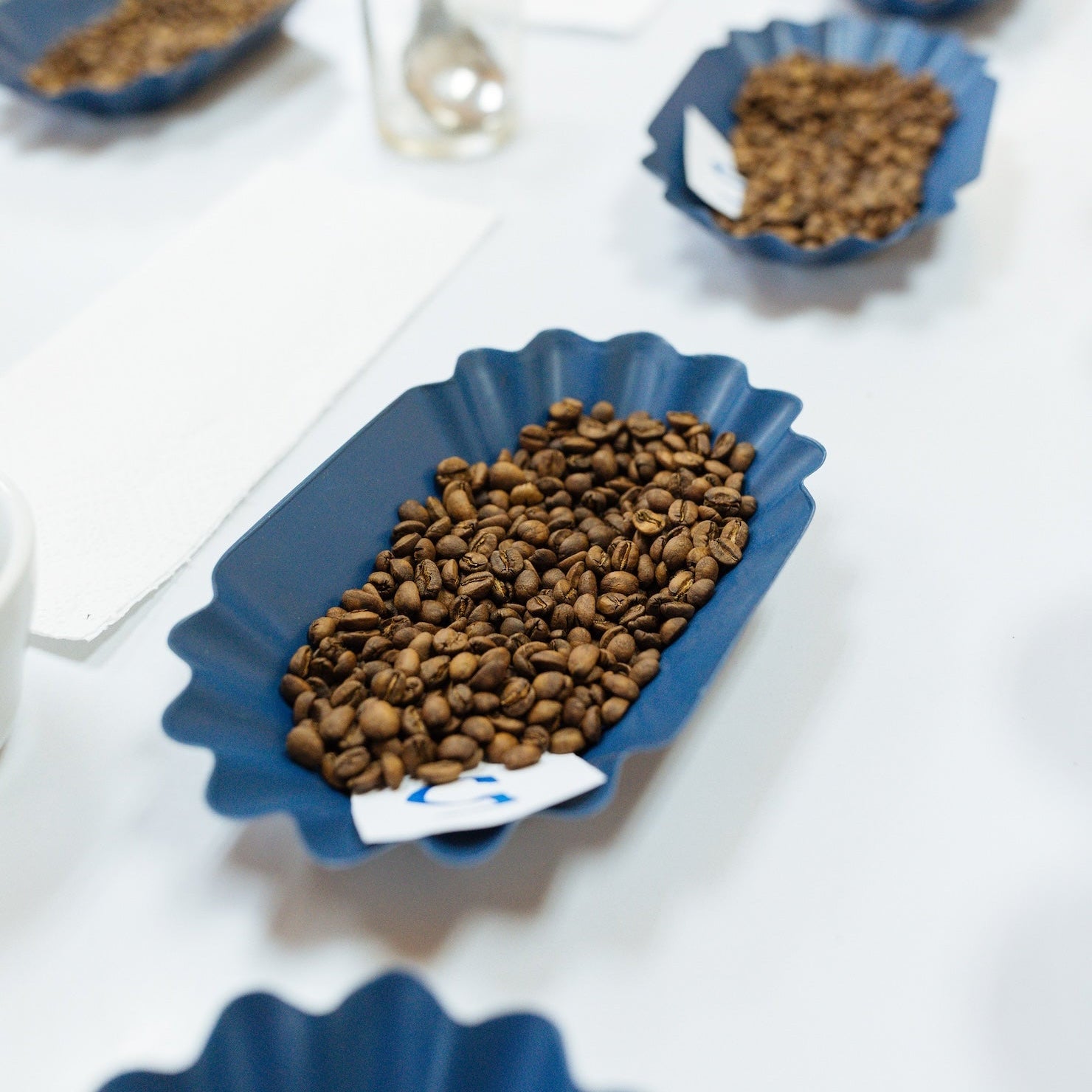 Tanzania Mara Tarime AA