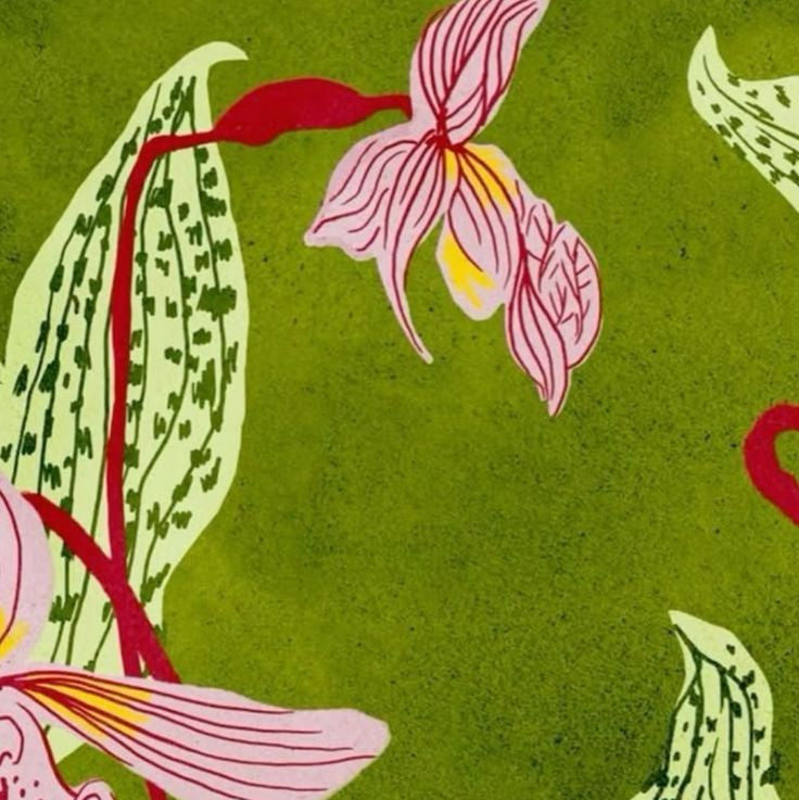 GO WEST - Papua New Guinea