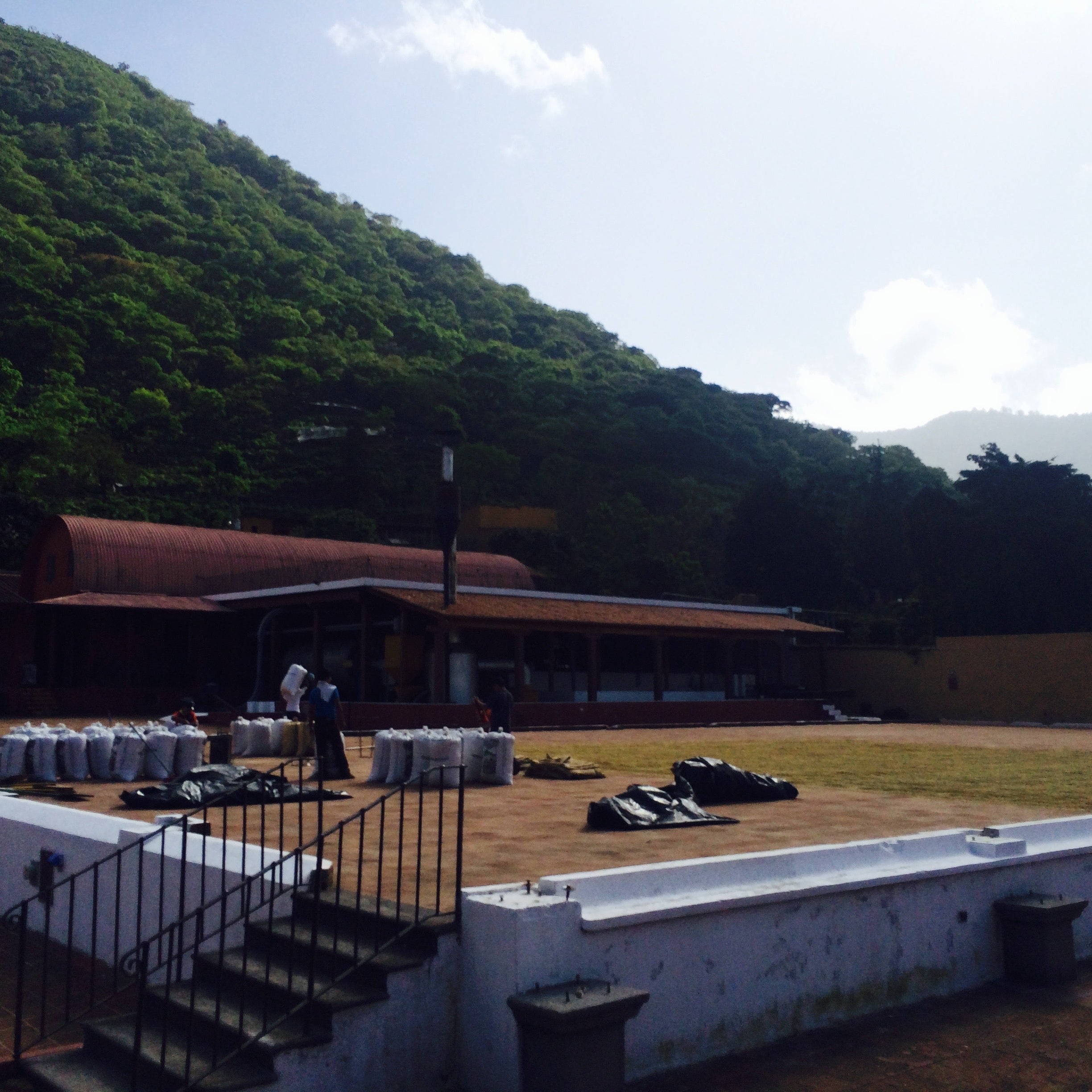 Guatemala La Bendición (Honey)